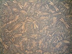 Insects, Serangga ( Mrana )